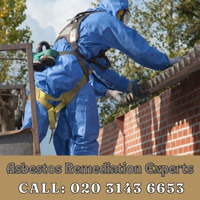 Asbestos Remediation Experts Enfield Island Village