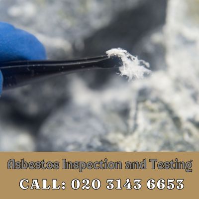 Comprehensive Asbestos Inspection and Testing Services in Enfield Island Village